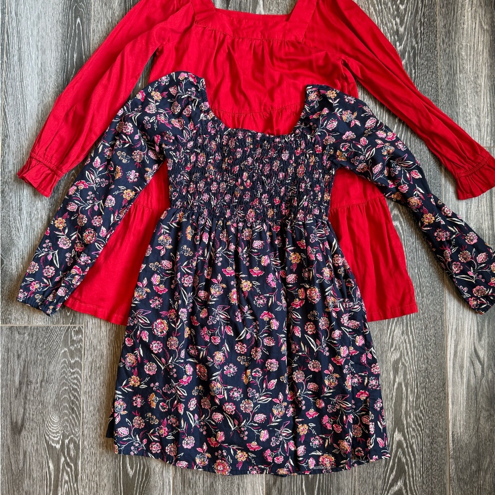 GAP Navy and Red Floral Kids Dress Set